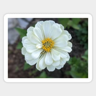 White layered flower photographic image Sticker